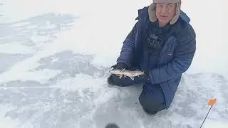 Неожиданный трофей в 2025 году!!!