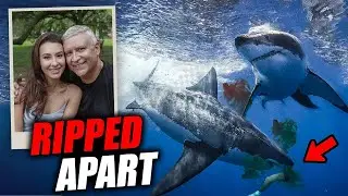 BRUTALLY KILLED and TORN in pieces by Multiple Sharks