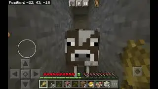 trapping Minecraft animals in the mine