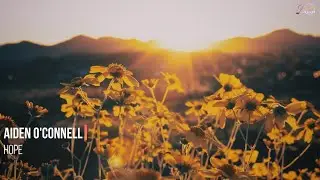 Aiden O'Connell - Hope