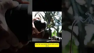 The Problem With Canon Zoom Lenses 