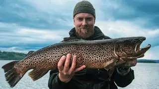 Them trout bum days - Fiskar STOR öring