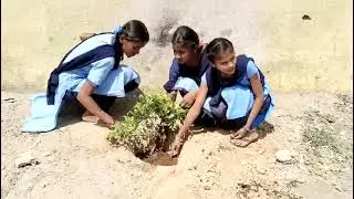 Tree planting event at Government Higher Primary School, Sarjapur Road.