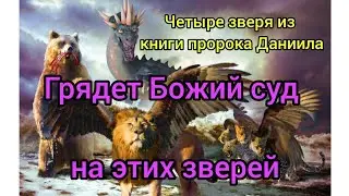 У этого 