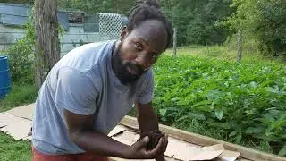 How to make a NO TILL Garden Bed for weed free gardening