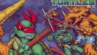Teenage Mutant Ninja Turtles #6 (1984 Comic)