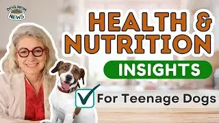 Don't Ignore These Vital Tips for a Happy and Healthy Teenage Pup!