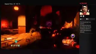 tommyguns188's zombies