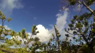 Новый рекорд)