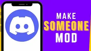 How to Make Someone a Mod on Discord 2025