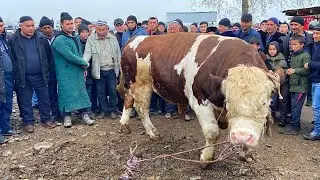молбозори Чилгази