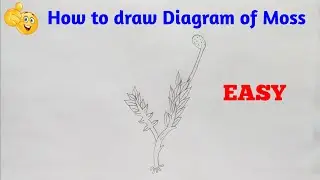 how to draw moss step by step in easy way | drawing moss