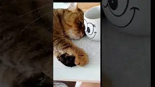 Твои глаза-такая сила притяжения! 