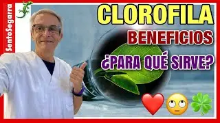 ✅ CHLOROPHYLL BENEFITS ❤️ What is it REALLY USED for? 🥰