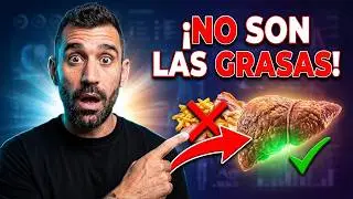 HIGADO GRASO: ¿Las GRASAS son las CULPABLES?