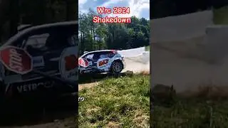 wrc 2024 fails 