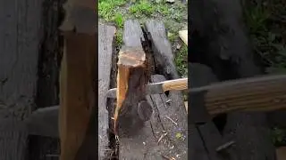 ROMPERÁ el CUCHILLO o el TRONCO❓🤔😱| #cuchillo #knife