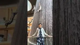 Dubai mall