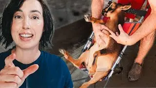 Kevin's New Invention Has Me *This Close* To Losing It 🤣