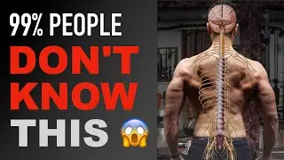 How Central Nervous System Affects Muscle and Strength Building ?