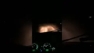 Густой туман в Александровском .