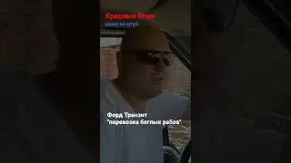Форд Транзит и его потайная функция #ford #форд_транзит #микроавтобус #short shorts