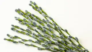 Pussy willow twig | Chenille wire flower | How to make decor room from Pipe Cleaners
