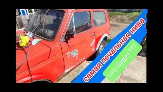 нива вторая жизнь