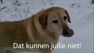Jan Teel - www.janteel.com - Ylan in de sneeuw.wmv