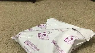 Hazbin Hotel & Helluva Boss Black Friday Merch Unboxing Part 1
