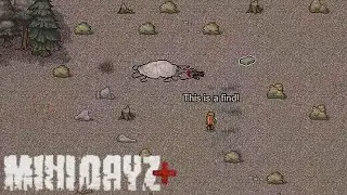 A Rare Find - Mini DayZ Plus