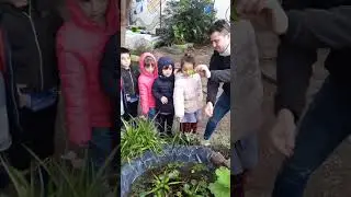#дача  #огород  #развлечения #сад  #природа #для всех  #аргентина #argentina