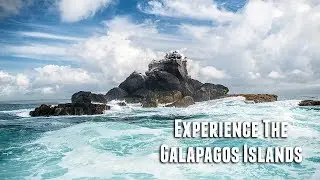 Experience The Galapagos Islands