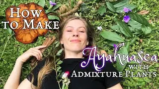 How to Make Healing Ayahuasca with Master Plants