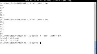 Linux Command (Egrep)