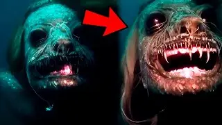 Criatura MALDITA o SIRENA REAL | 15 videos de TERROR REAL que te dejaran PETRIFICADO