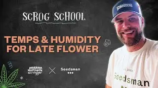 Ep15/S3 - SCROG SCHOOL- Temps & Humidity for Late Flower