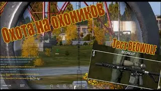 DayZ: Заварухи перед вайпом, выбили BEOWULF.
