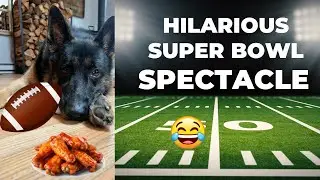EXPOSED! Super Bowl 2024 Food Zombies! A German Shepherd’s Hilarious Take on Taylor Swift 😭😂