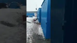 На севере пришла весна