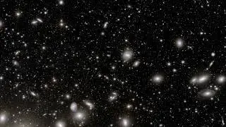 Euclid - Perseus Cluster