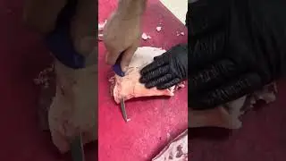 Правильная пистолетики нарезаем 😎