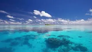 Я ЕСТЬ ЛЮБОВЬ ❤️ ВСЁ МЕНЯ ЛЮБИТ ❤️ ВСЁ ПРОЯВЛЯЕТСЯ ЛЮБОВЬЮ ДЛЯ МЕНЯ отрывок эфир #50 #пробуждение