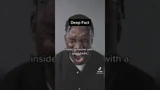 Deep Fact