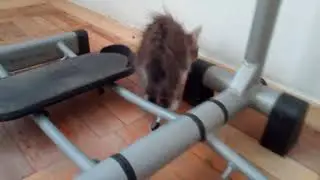 Мы тоже любим спорт.