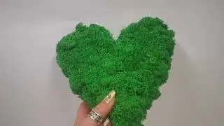 Вечно-зеленое сердце