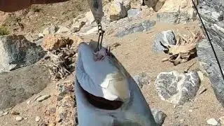 BALIK YOLU 4. BÖLÜM  saç baş yolduran kofanalar akyalar