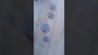 Мои редкие монеты гк чп 4 штуки