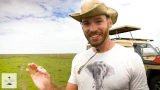 Best Safari in Africa is in Tanzania