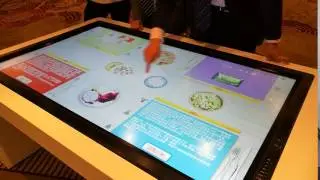 Multi-touch Interactive Table